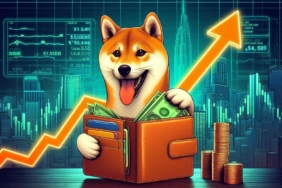 Shiba Inu Cüzdan Sayısı Artarken Fiyat Neden Düşüyor? SHIB’de Neler Oluyor?