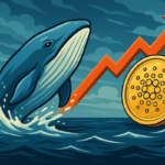 Fırtına Öncesi Sessizlik Balinalar Cardano’ya Geri Döndü