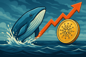 Fırtına Öncesi Sessizlik Balinalar Cardano’ya Geri Döndü