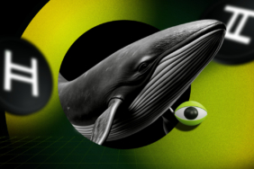 Hedera Eylül Fırtınasına Meydan Okudu Uptober’da Yükseliş Kapıda mı