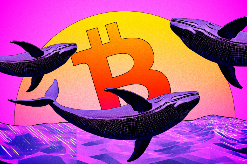 Kripto Balinasının Dev Short Pozisyonları Bitcoin Piyasasını Sarsabilir