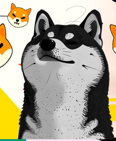 Shibarium Benimsenmesi Yavaşladı, SHIB Fiyatı Toparlanmakta Zorlanıyor