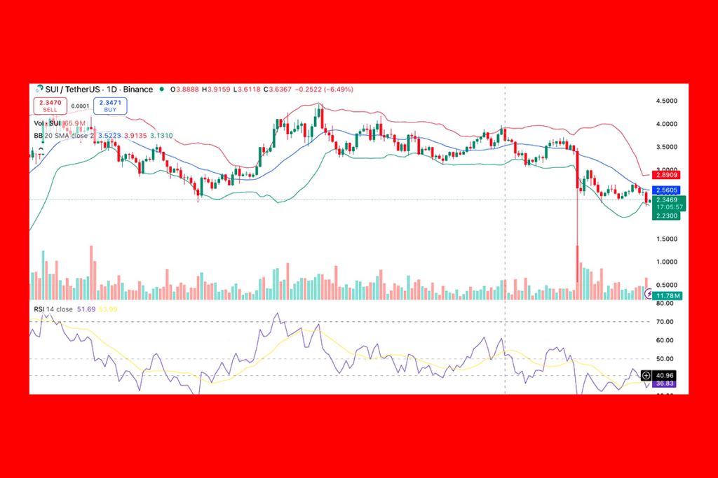 Sui Fiyatı Hafif Yükseldi: Toparlanma Mümkün mü?