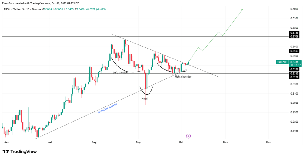 TRON (TRX) Potansiyel Piyasa Yükselişinin İşaretlerini Gösteriyor