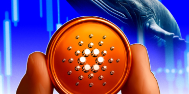 Cardano Dip mi Oluşturuyor? Zincir Üstü Veriler Birikimi Gösteriyor