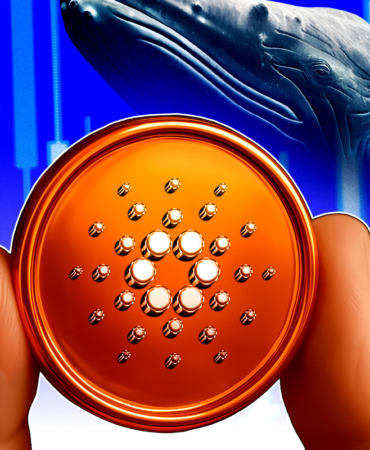 Cardano Dip mi Oluşturuyor? Zincir Üstü Veriler Birikimi Gösteriyor