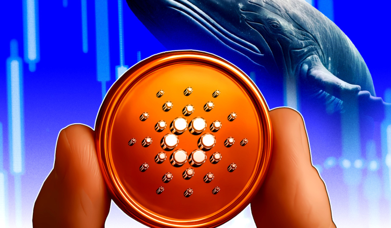 Cardano Dip mi Oluşturuyor? Zincir Üstü Veriler Birikimi Gösteriyor