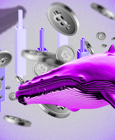 Kripto Balinaları Uyanıyor mu? Dev BTC ve ETH Hamleleri Piyasayı Salladı!