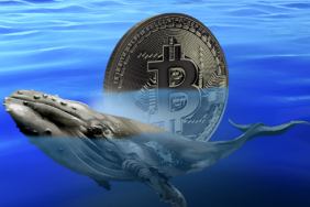 Matador Technologies, Bitcoin İçin 100 Milyon Dolarlık Dev Fon Sağladı!