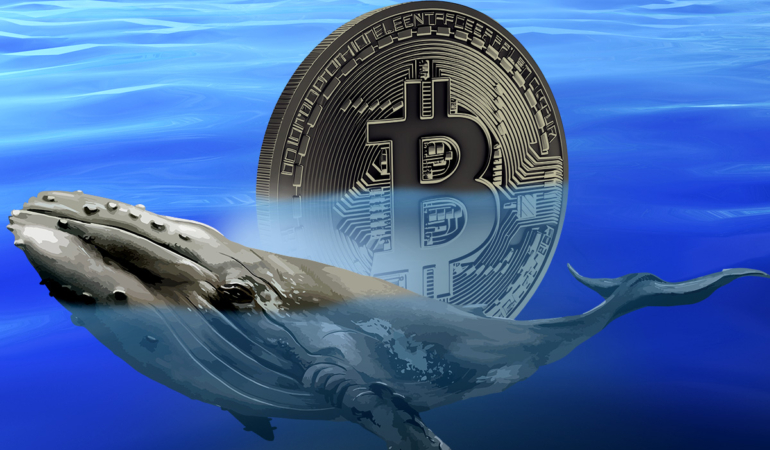 Matador Technologies, Bitcoin İçin 100 Milyon Dolarlık Dev Fon Sağladı!