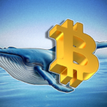 Bitcoin Balinaları Rekor Kırıyor: Küçük Yatırımcılar Panikte Çıkıyor!