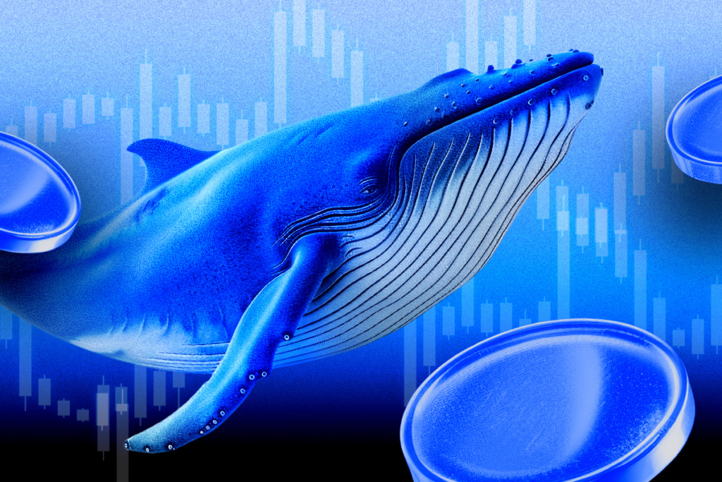 Ethereum Yatırımcıları Endişeli Mi? $3,100 Seviyesi ve Piyasa Hareketleri Ne Anlatıyor?