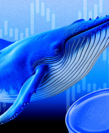 Ethereum Yatırımcıları Endişeli Mi? $3,100 Seviyesi ve Piyasa Hareketleri Ne Anlatıyor?