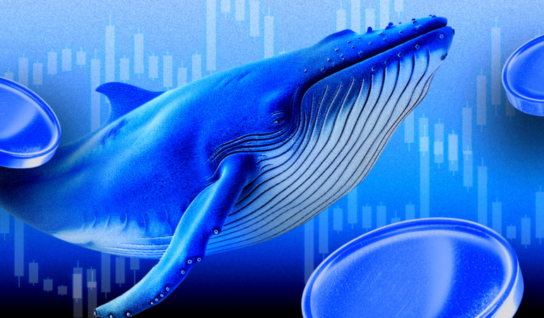 Ethereum Yatırımcıları Endişeli Mi? $3,100 Seviyesi ve Piyasa Hareketleri Ne Anlatıyor?