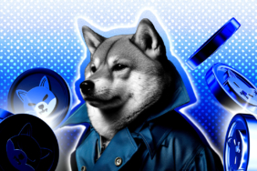 Shiba Inu Fiyatı Çöküyor mu? Analistler Kritik Noktaları İşaret Ediyor