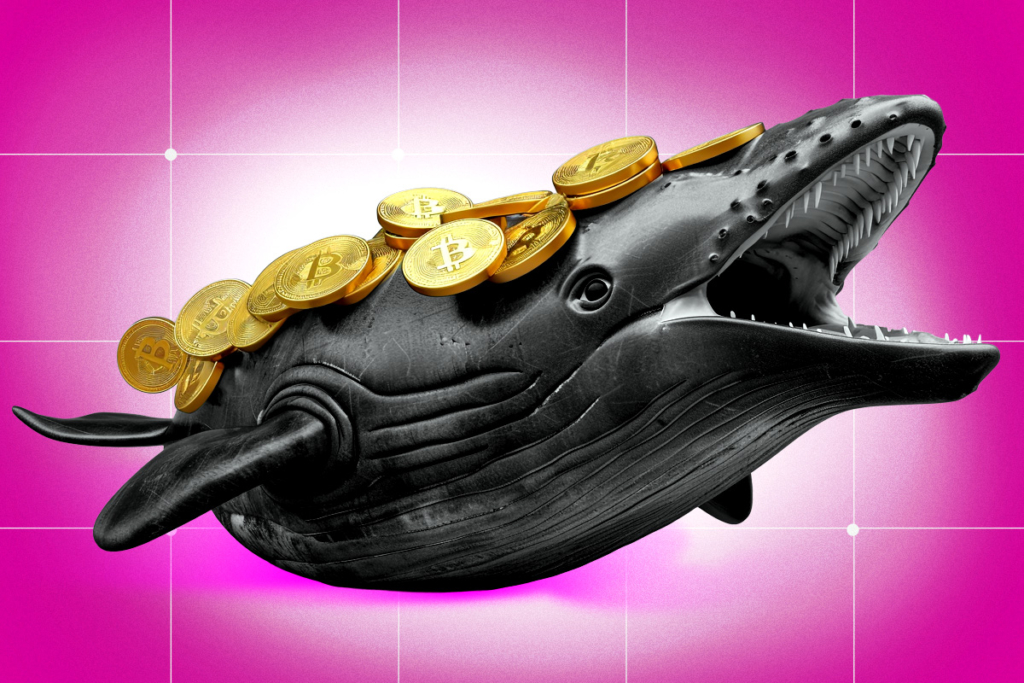 Bitcoin 90.000 Doların Altına Düştü: Balinalar Piyasayı Ele Mi Geçirdi?