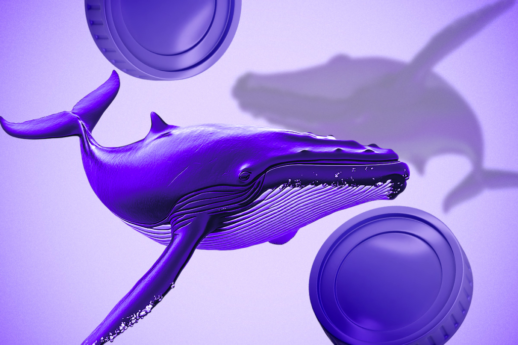 FARTCOIN’de Balina Birikimi ve Zincir Üstü Hareketlilik Artıyor