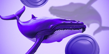 FARTCOIN’de Balina Birikimi ve Zincir Üstü Hareketlilik Artıyor