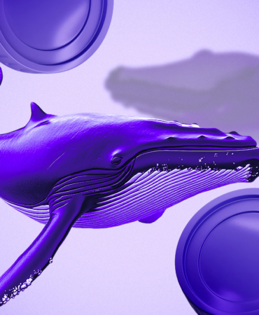 FARTCOIN’de Balina Birikimi ve Zincir Üstü Hareketlilik Artıyor