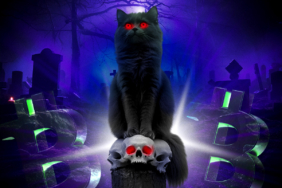 Boğalar Alarmda Bitcoin’in Sharpe Oranı Çok Yıllı Diplerde