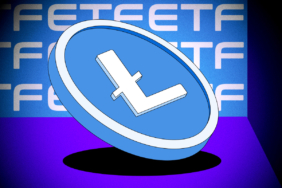 Düşük Yatırımcı İlgisi Nedeniyle Canary Litecoin ETF Zorlanıyor