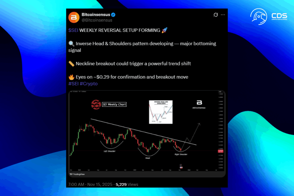 SEI Fiyat Hareketi: Sert Geri Çekilme Sonrası Bir Sonraki Büyük Hamle Ne Olacak?