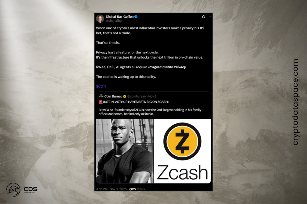 Yatırımcılar Gizlilik Odaklı Blockchain Projelerine Yöneliyor: COTI İlgi Odağında