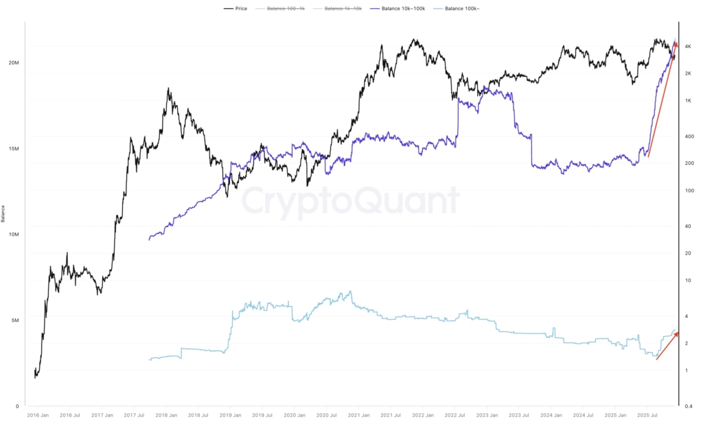 Ethereum’da Büyük Dönüş: Balinalar 1 Milyon ETH Topladı, Fiyat Uçuşa Hazırlanıyor!