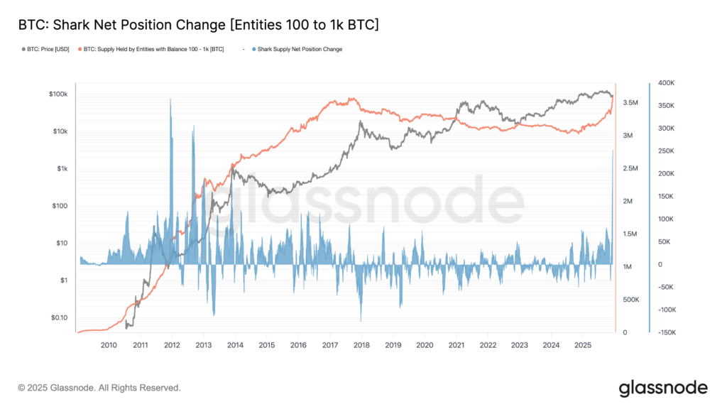 Bitcoin Balinaları Satarken Shark’ler Neden Hızla BTC Biriktiriyor?