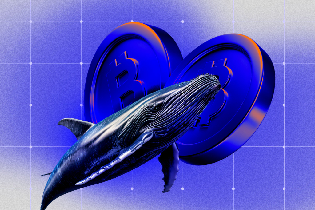 Balinalar Franklin, ZORA ve FARTCOIN’e İlgi Gösteriyor