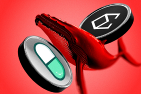 PUMP ve ENA Balinaları Büyük Zararlarla Pozisyon Kapattı