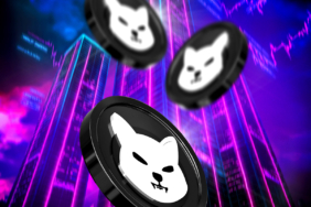 Shiba Inu 2025’te Düşüşle Sarsıldı: SHIB Yatırımcıları Endişeli