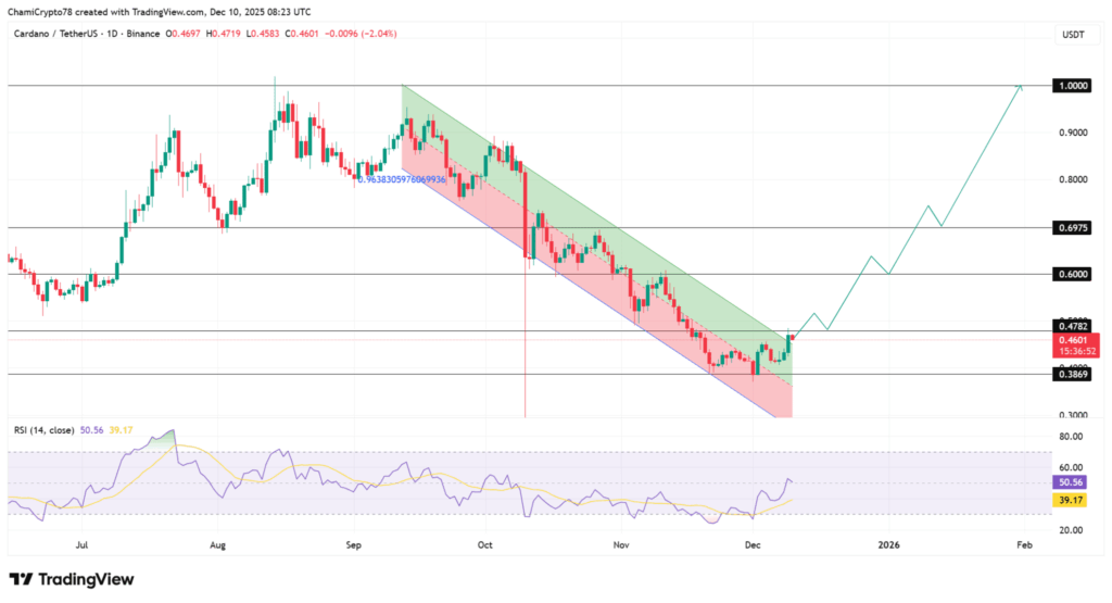 Cardano Balinaları Piyasayı Salladı: ADA $0,46’da Direnci Test Ediyor!