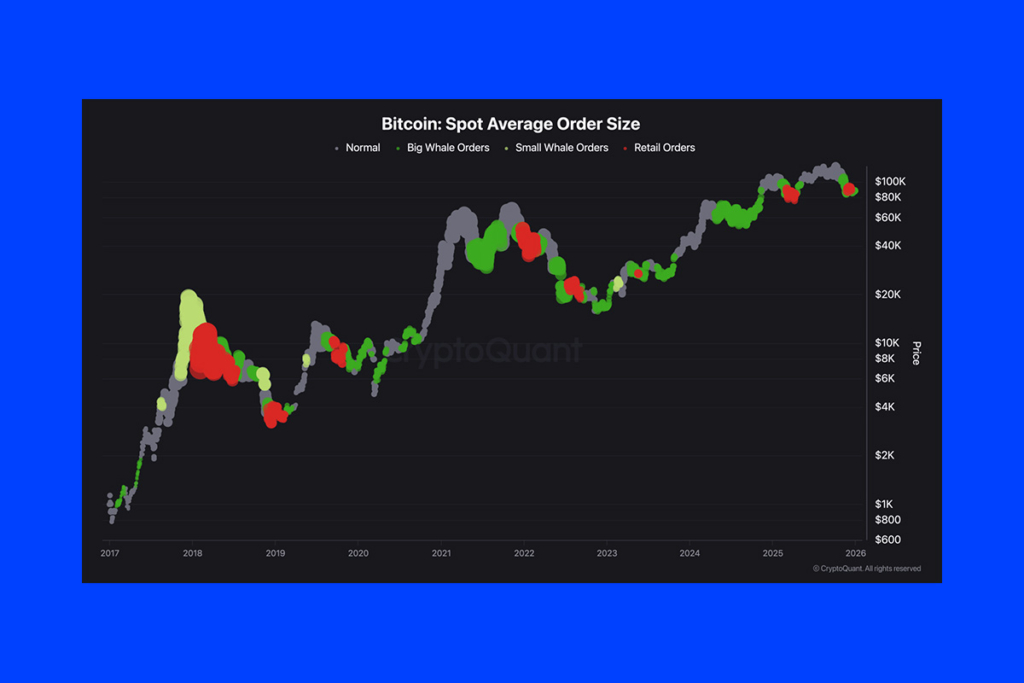 Bitcoin Spot Girişleri Panik Değil, Sabra İşaret Ediyor