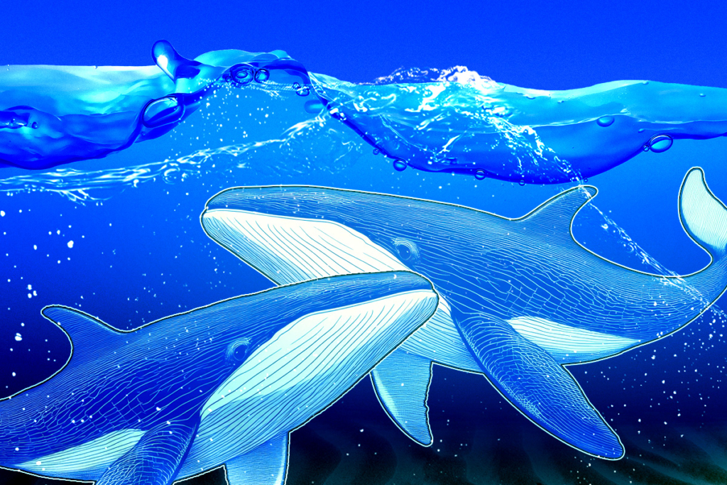 Büyük Balina Hareketi Sonrası ASTER Satış Baskısıyla Karşı Karşıya