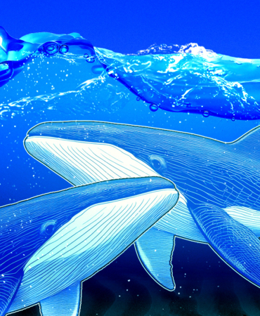 Büyük Balina Hareketi Sonrası ASTER Satış Baskısıyla Karşı Karşıya