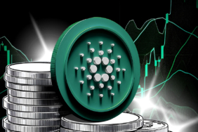 Cardano Aktivitesi Yükselite NIGHT Ghostchain Algısını Bitirebilir
