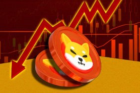 Devam Eden Düşüş Trendine Rağmen SHIB Yapısal Destek Gösteriyor