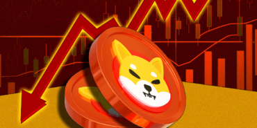 Devam Eden Düşüş Trendine Rağmen SHIB Yapısal Destek Gösteriyor