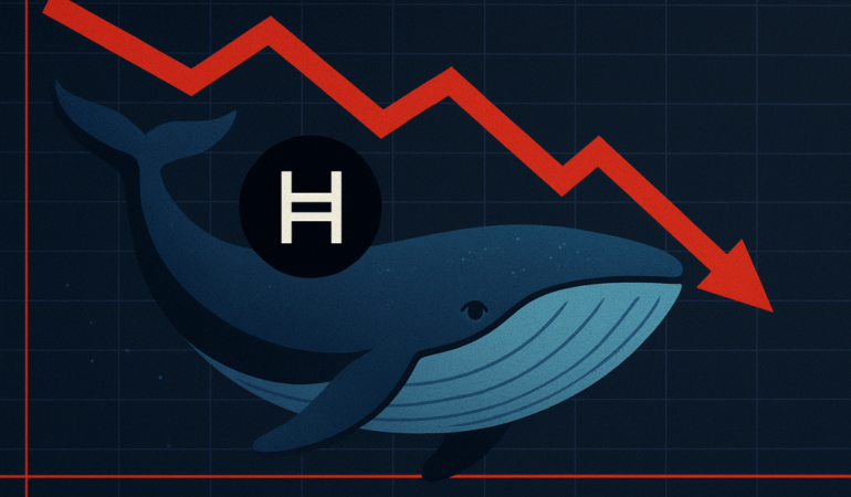 HBAR Balinaları Düşüşü Alım Fırsatı Olarak Görüyor