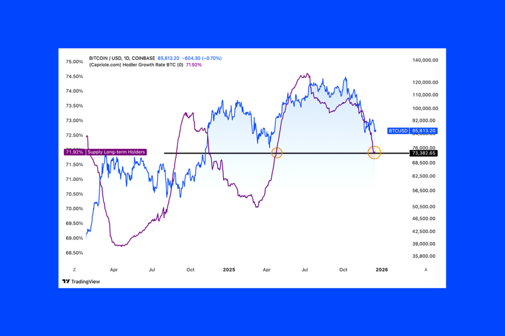 LTH Bitcoin Varlıkları Sert Düştü: Bundan Sonra Ne Olacak?