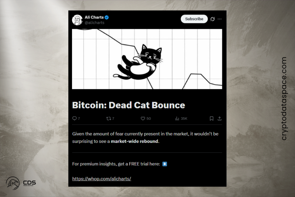 Martinez: Sermaye Çıkışları Kripto İçin Daha Fazla Düşüşe İşaret Ediyor