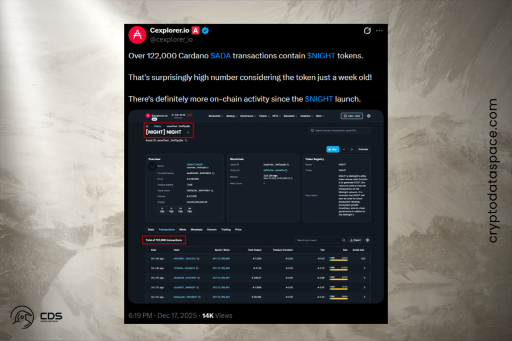 NIGHT, Lansmandan Günler Sonra Cardano Aktivitesini Ateşledi