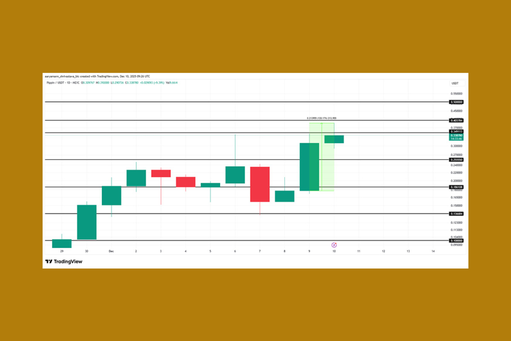 PIPPIN Meme Coin Çılgınlığı: Etkileyici Sıçrama Dikkat Çekiyor