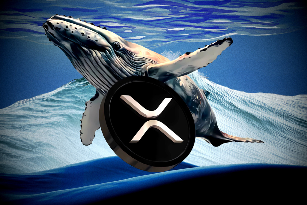 XRP Bir Kez Daha Reddedildi Büyük Bir Çöküş mü Geliyor