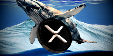 XRP Bir Kez Daha Reddedildi Büyük Bir Çöküş mü Geliyor