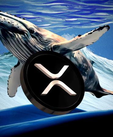 XRP Bir Kez Daha Reddedildi Büyük Bir Çöküş mü Geliyor