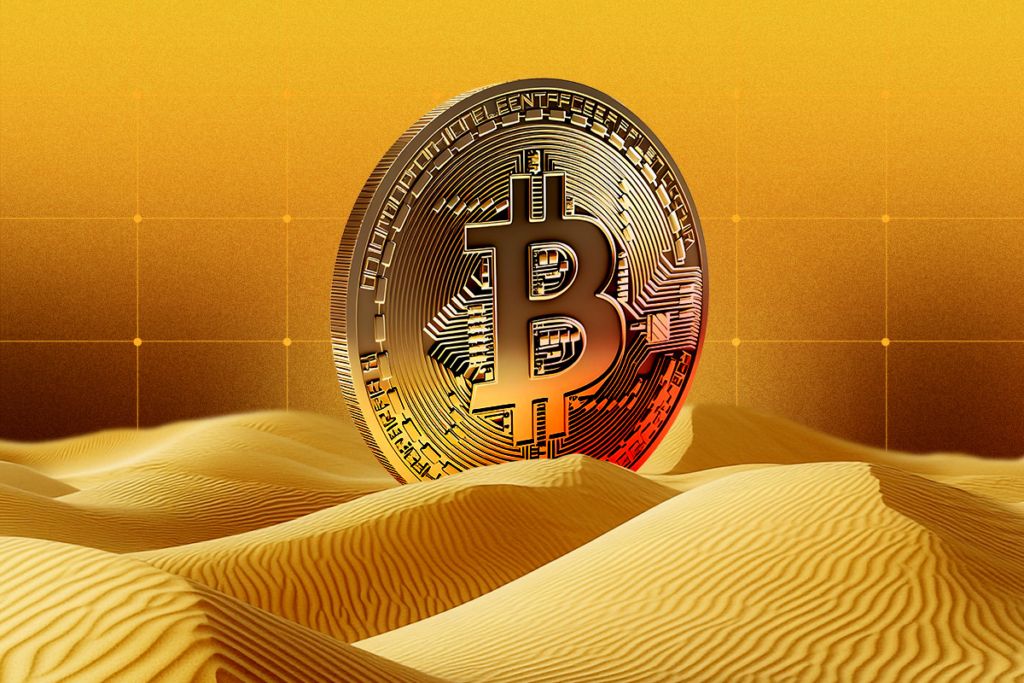 Zarar Artmasına Rağmen Bitcoin Balinaları Agresif Şekilde Biriktiriyor