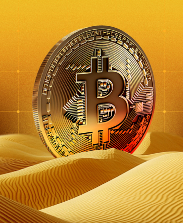 Zarar Artmasına Rağmen Bitcoin Balinaları Agresif Şekilde Biriktiriyor