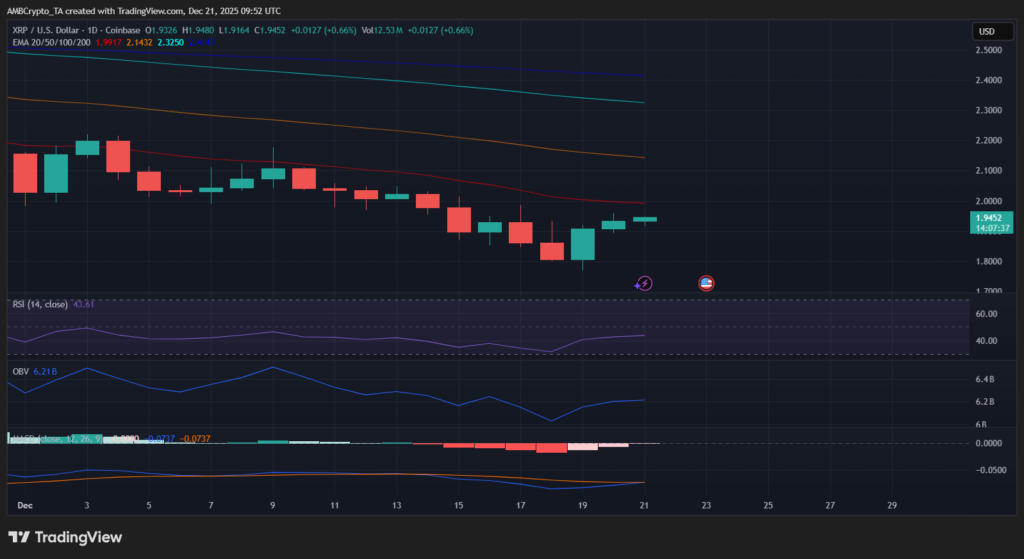 XRP ETF’leri Gündemde: Büyük Cüzdanlar Yeniden Birikimde